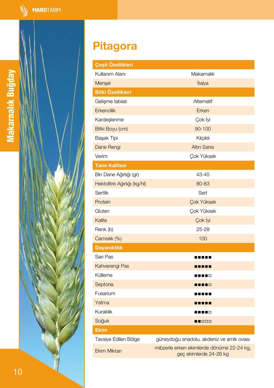 80-83 Sertlik Protein Gluten Kalite Sert Çok Yüksek Çok Yüksek Çok İyi Renk (b) 25-28 Camsılık (%) 100 Dayanıklılık Sarı Pas Kahverengi Pas Külleme Septoria