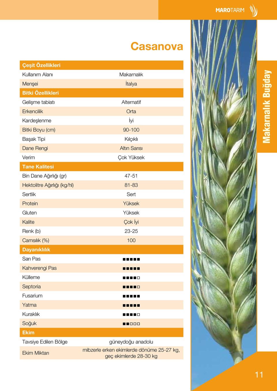 Sertlik Protein Gluten Kalite Sert Yüksek Yüksek Çok İyi Renk (b) 23-25 Camsılık (%) 100 Dayanıklılık Sarı Pas Kahverengi Pas Külleme Septoria Fusarium