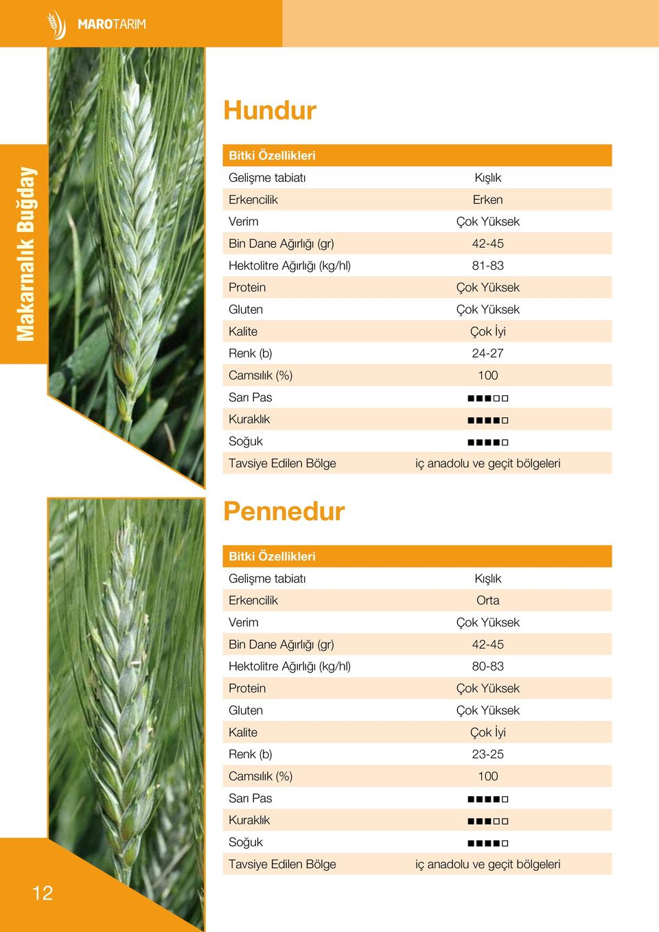 bölgeleri Pennedur 12 Bitki Özellikleri Gelişme tabiatı Kışlık Erkencilik Orta Verim Çok Yüksek Bin Dane Ağırlığı (gr) 42-45 Hektolitre Ağırlığı (kg/hl)