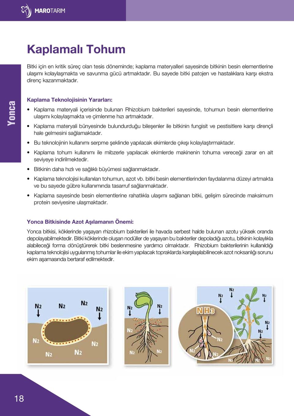 Yonca Kaplama Teknolojisinin Yararları: Kaplama materyali içerisinde bulunan Rhizobium bakterileri sayesinde, tohumun besin elementlerine ulaşımı kolaylaşmakta ve çimlenme hızı artmaktadır.