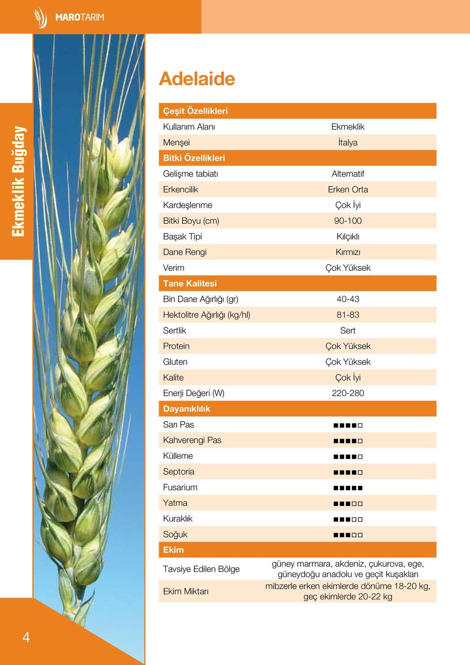 Protein Gluten Kalite Sert Çok Yüksek Çok Yüksek Çok İyi Enerji Değeri (W) 220-280 Dayanıklılık Sarı Pas Kahverengi Pas Külleme Septoria Fusarium Yatma Kuraklık Soğuk