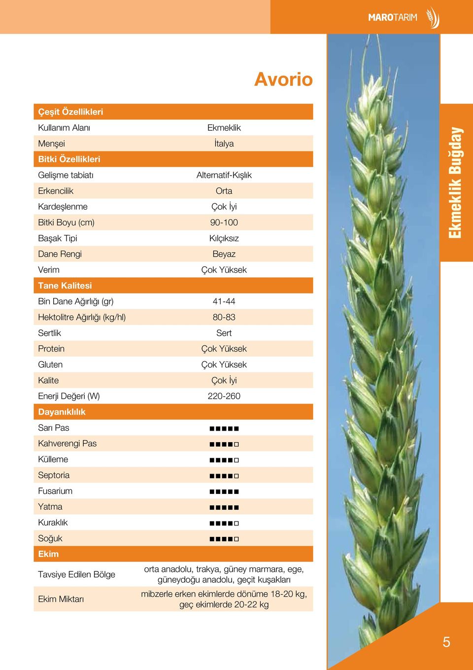 Sert Çok Yüksek Çok Yüksek Çok İyi Enerji Değeri (W) 220-260 Dayanıklılık Sarı Pas Kahverengi Pas Külleme Septoria Fusarium Yatma Kuraklık Soğuk Ekim Tavsiye Edilen