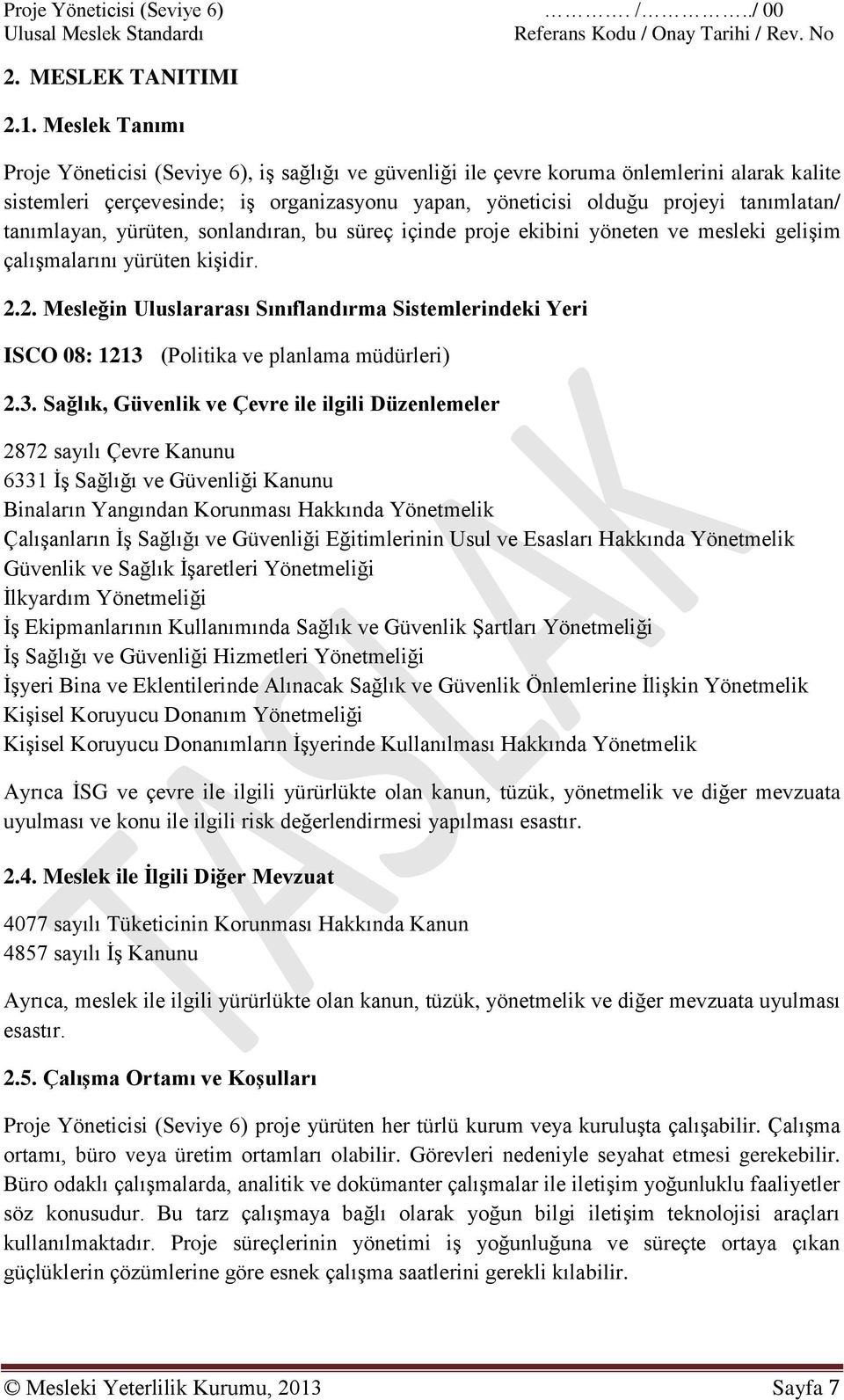 tanımlayan, yürüten, sonlandıran, bu süreç içinde proje ekibini yöneten ve mesleki gelişim çalışmalarını yürüten kişidir. 2.