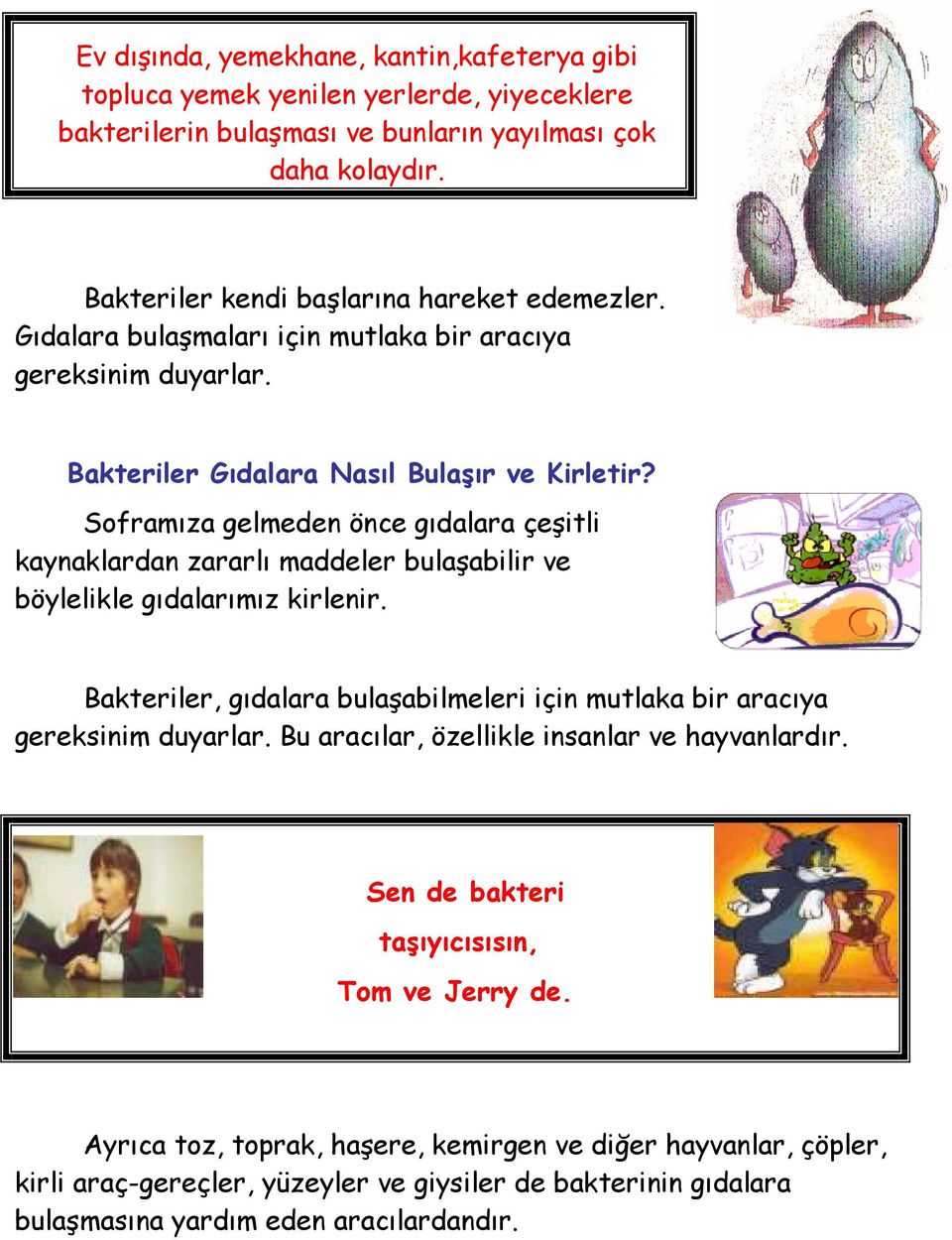 Soframıza gelmeden önce gıdalara çeşitli kaynaklardan zararlı maddeler bulaşabilir ve böylelikle gıdalarımız kirlenir.