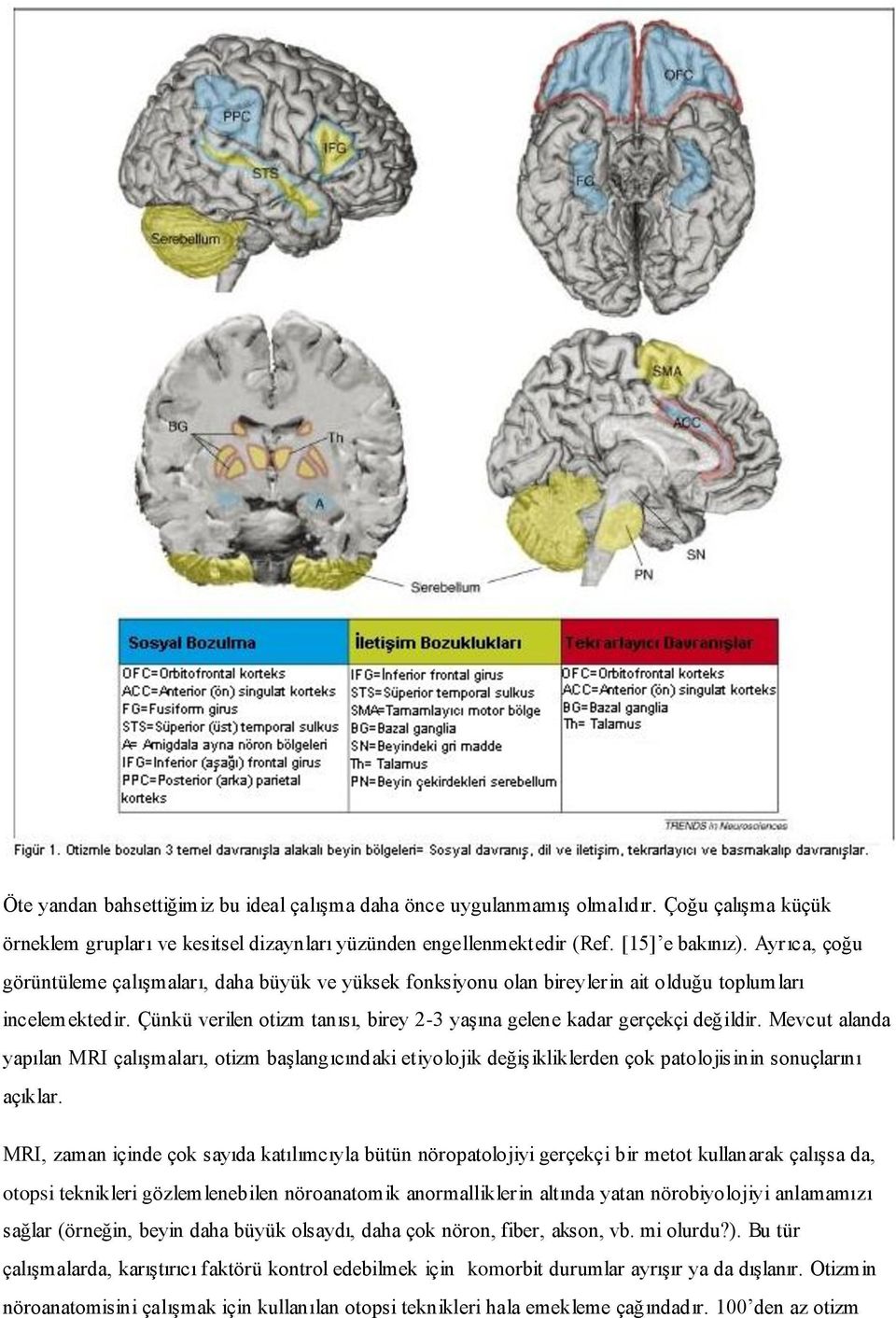 Mevcut alanda yapılan MRI çalışmaları, otizm başlangıcındaki etiyolojik değişikliklerden çok patolojisinin sonuçlarını açıklar.