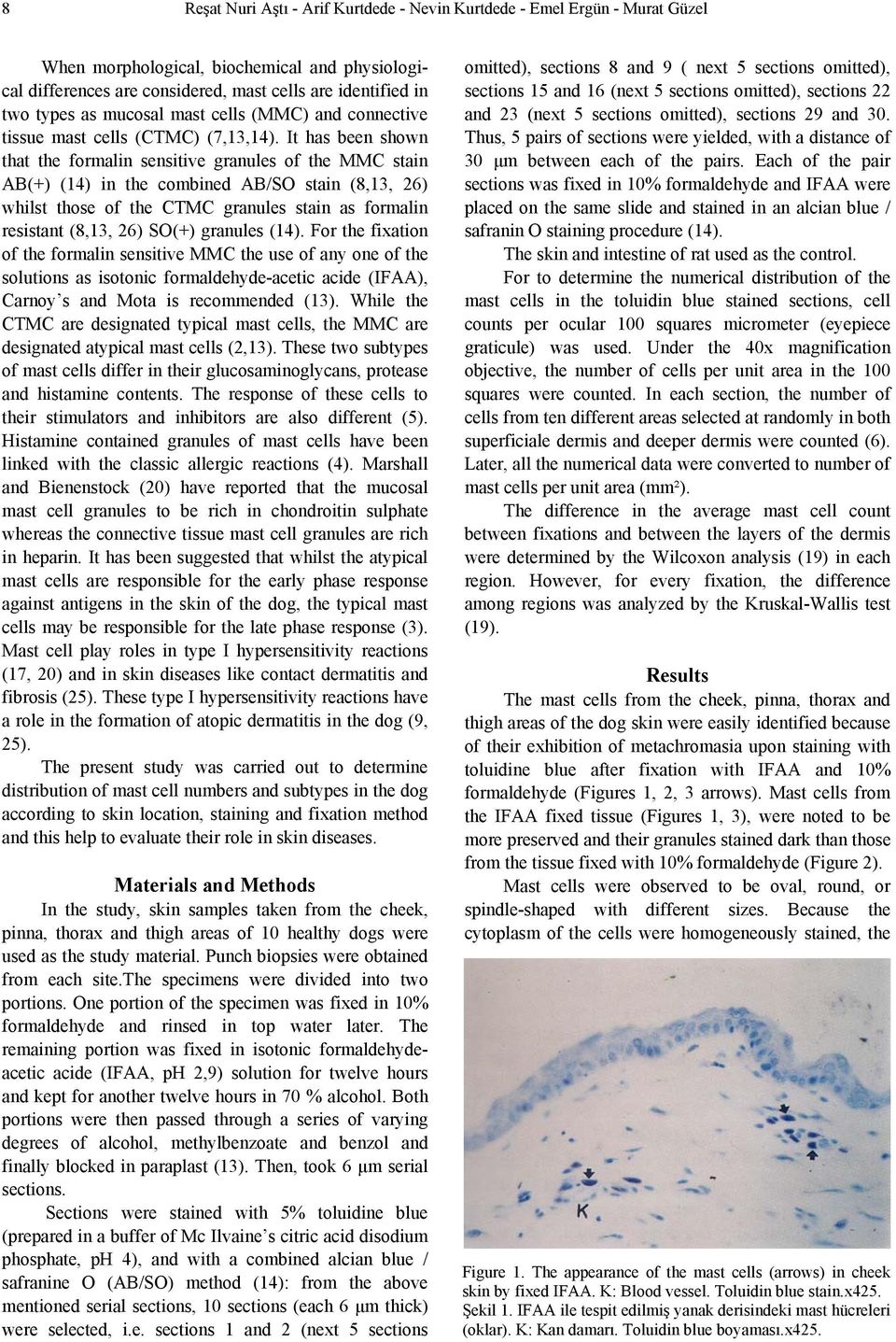 It has been shown that the formalin sensitive granules of the MMC stain AB(+) (14) in the combined AB/SO stain (8,13, 26) whilst those of the CTMC granules stain as formalin resistant (8,13, 26)