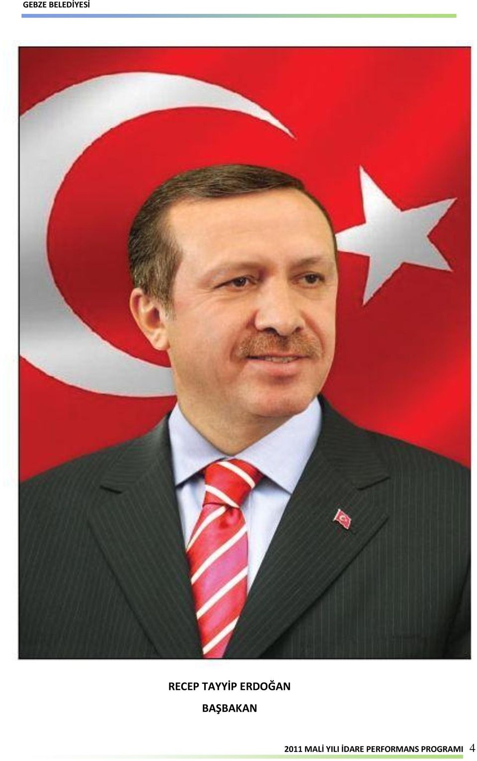 2011 MALİ YILI