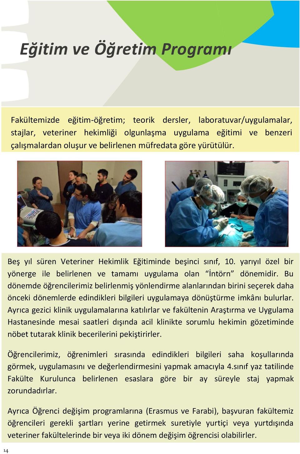 Bu dönemde öğrencilerimiz belirlenmiş yönlendirme alanlarından birini seçerek daha önceki dönemlerde edindikleri bilgileri uygulamaya dönüştürme imkânı bulurlar.