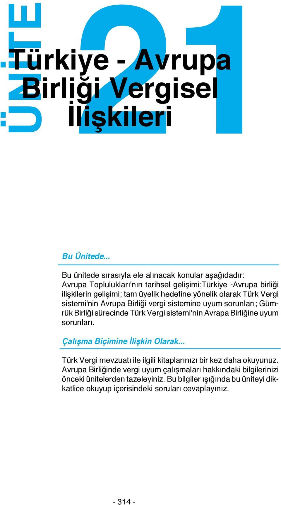 olarak Türk Vergi sistemi'nin Avrupa Birliği vergi sistemine uyum sorunları; Gümrük Birliği sürecinde Türk Vergi sistemi'nin Avrapa Birliğine uyum sorunları.