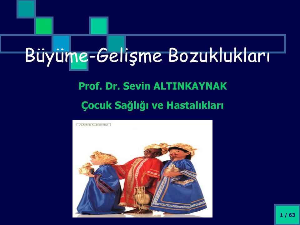 Sevin ALTINKAYNAK