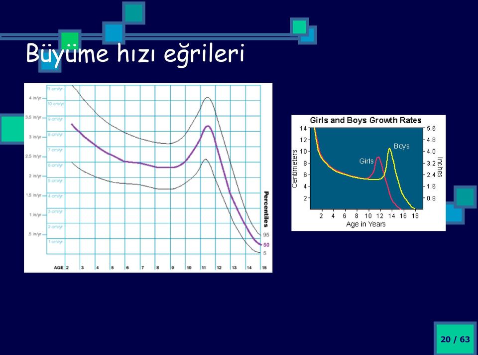 eğrileri