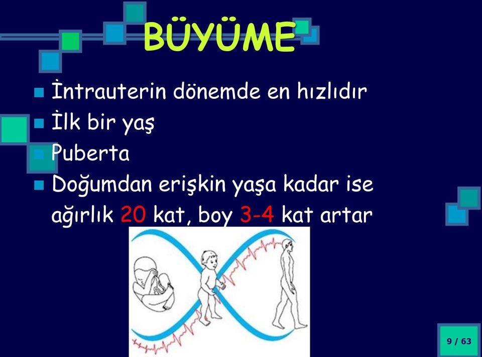 Doğumdan erişkin yaşa kadar ise