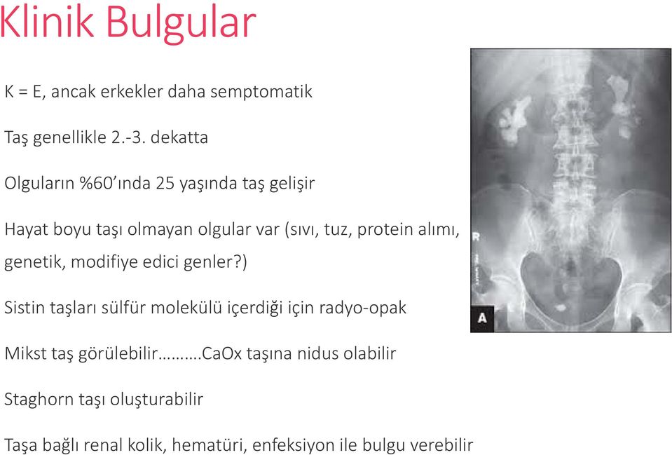 protein alımı, genetik, modifiye edici genler?