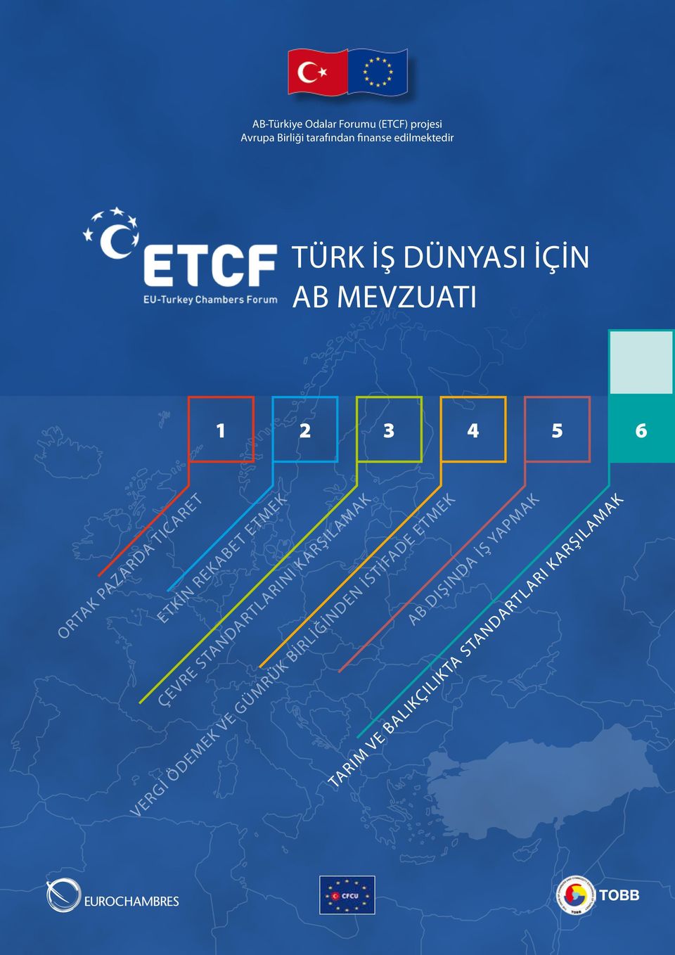 ETKİN REKABET ETMEK ÇEVRE STANDARTLARINI KARŞILAMAK VERGİ ÖDEMEK VE GÜMRÜK