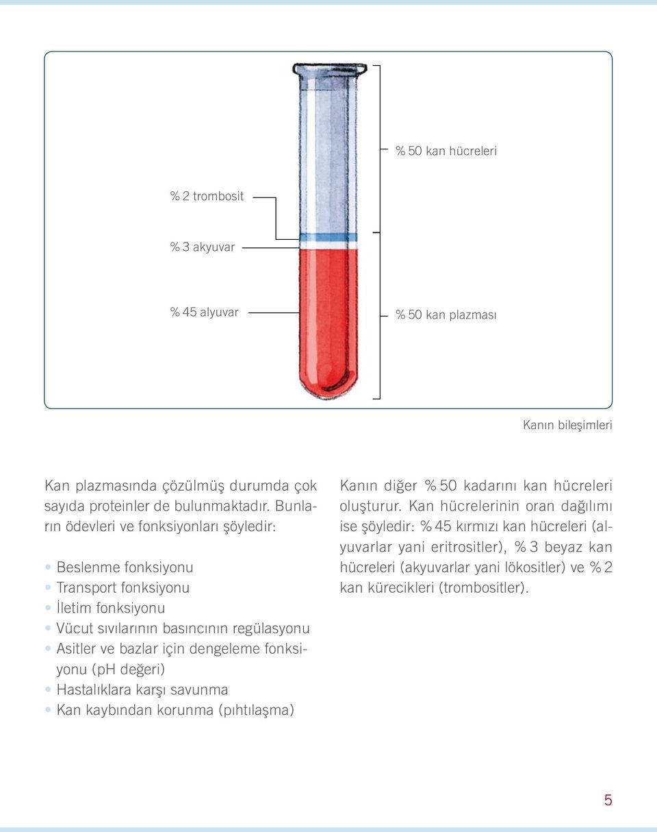 dengeleme fonksiyonu (ph değeri) Hastalıklara karşı savunma Kan kaybından korunma (pıhtılaşma) Kanın diğer % 50 kadarını kan hücreleri oluşturur.