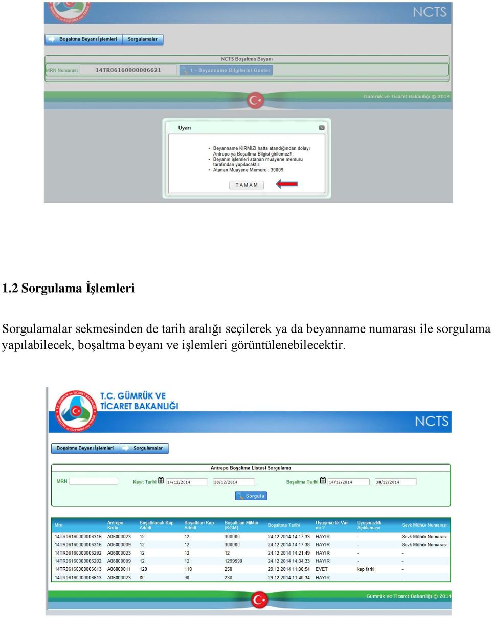 beyanname numarası ile sorgulama