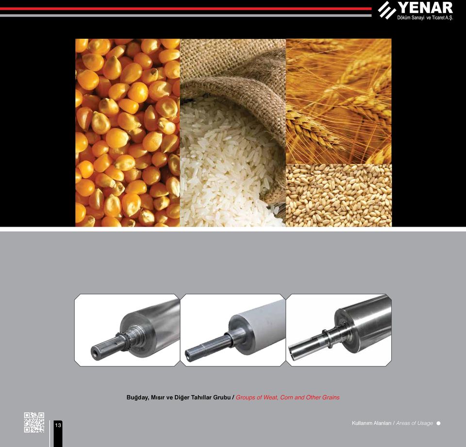Weat, Corn and Other Grains