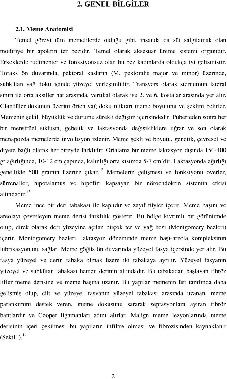 pektoralis major ve minor) üzerinde, subkütan yağ doku içinde yüzeyel yerleşimlidir. Transvers olarak sternumun lateral sınırı ile orta aksiller hat arasında, vertikal olarak ise 2. ve 6.