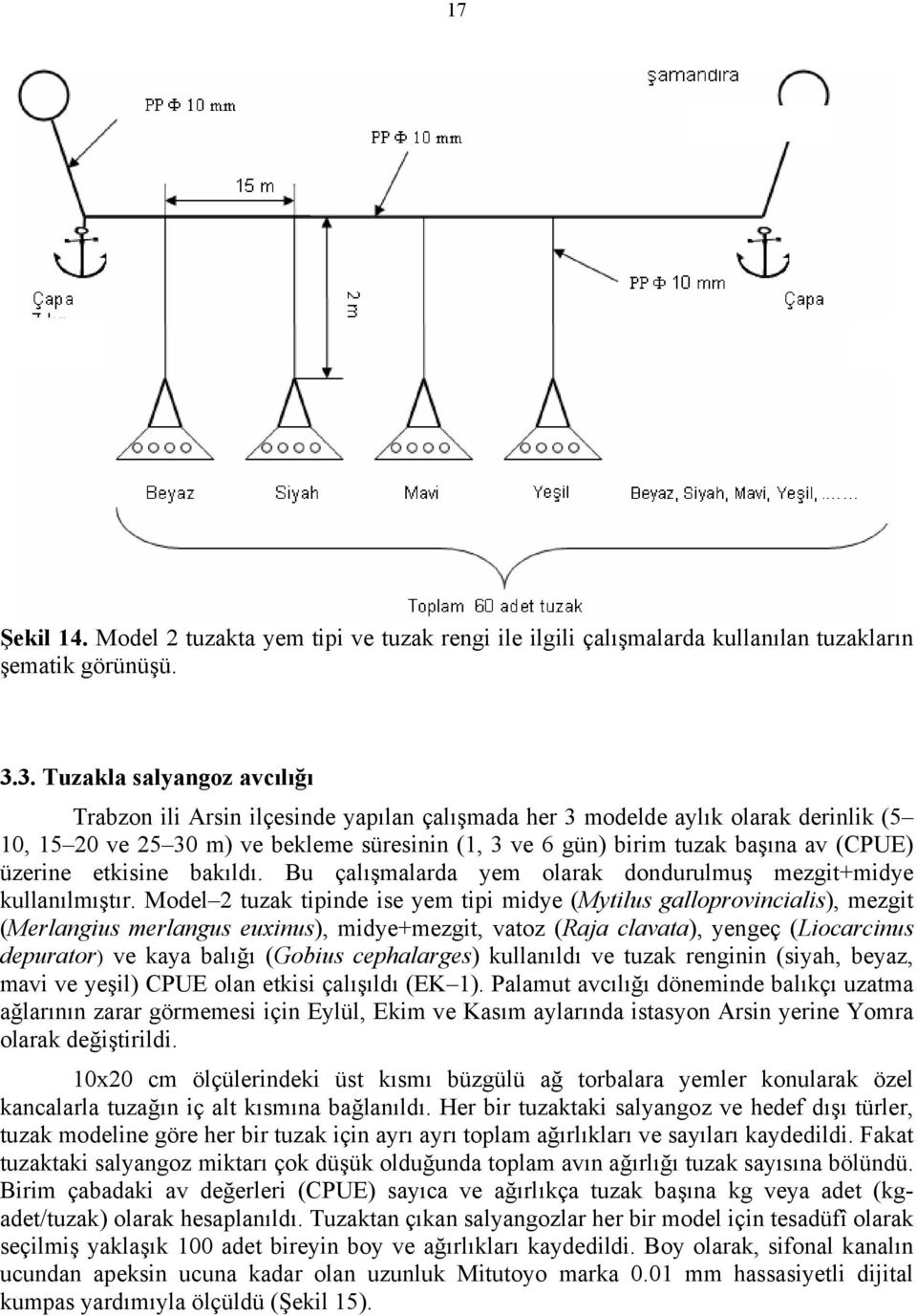 üzerine etkisine bakıldı. Bu çalışmalarda yem olarak dondurulmuş mezgit+midye kullanılmıştır.