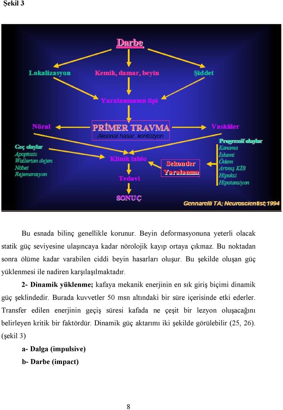 2- Dinamik yüklenme; kafaya mekanik enerjinin en sık giriş biçimi dinamik güç şeklindedir. Burada kuvvetler 50 msn altındaki bir süre içerisinde etki ederler.