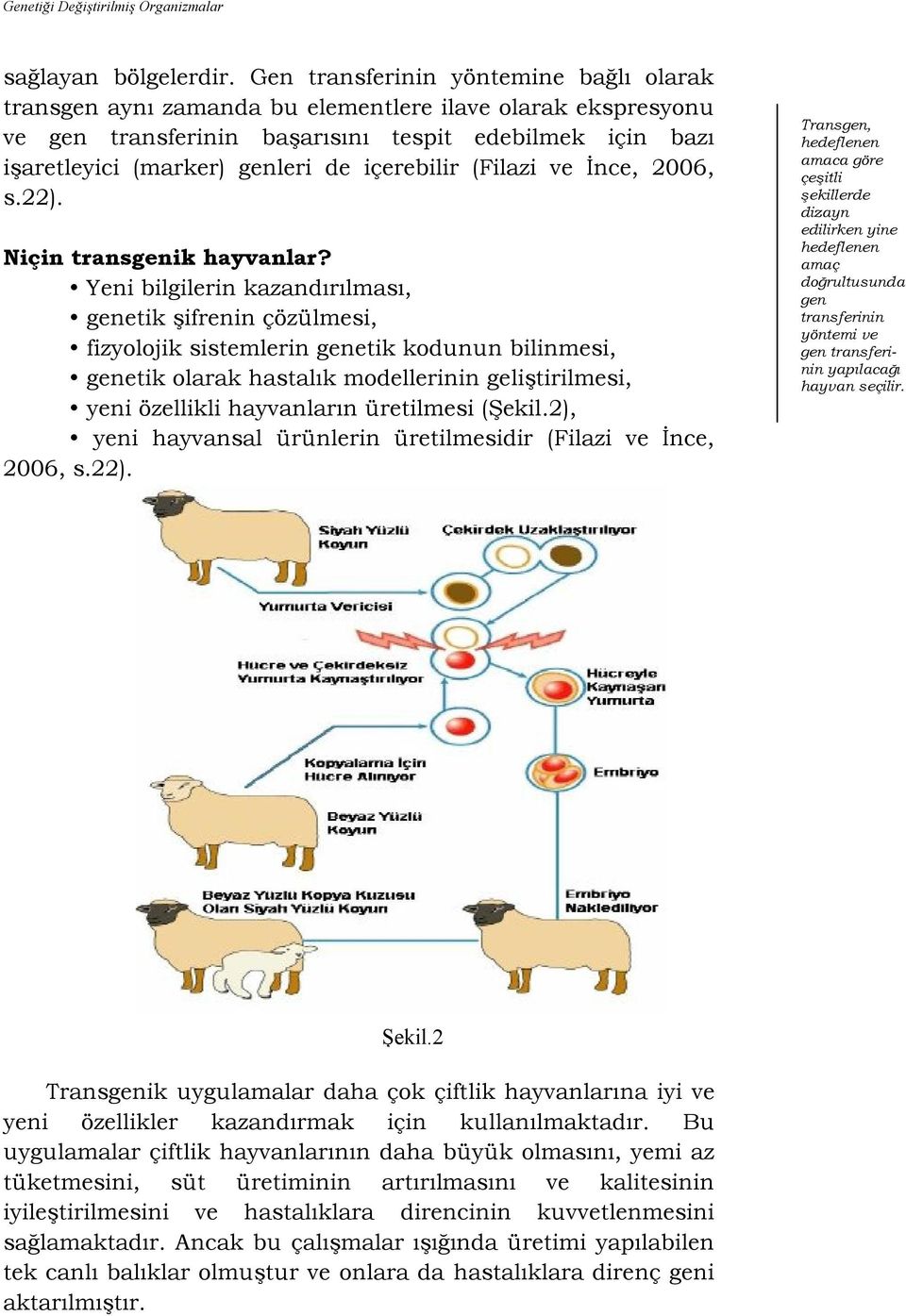 içerebilir (Filazi ve Ġnce, 2006, s.22). Niçin transgenik hayvanlar?