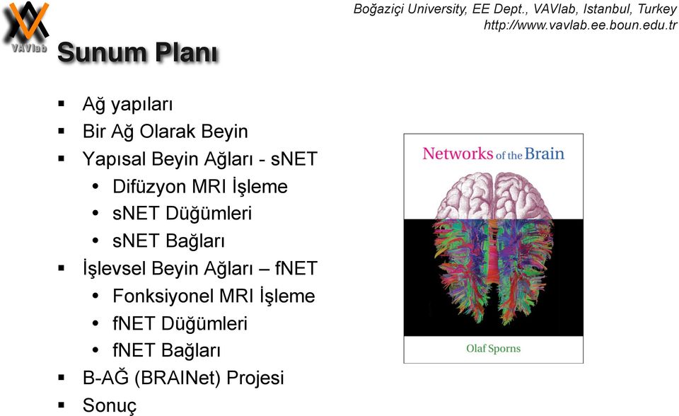 snet Bağları İşlevsel Beyin Ağları fnet Fonksiyonel MRI