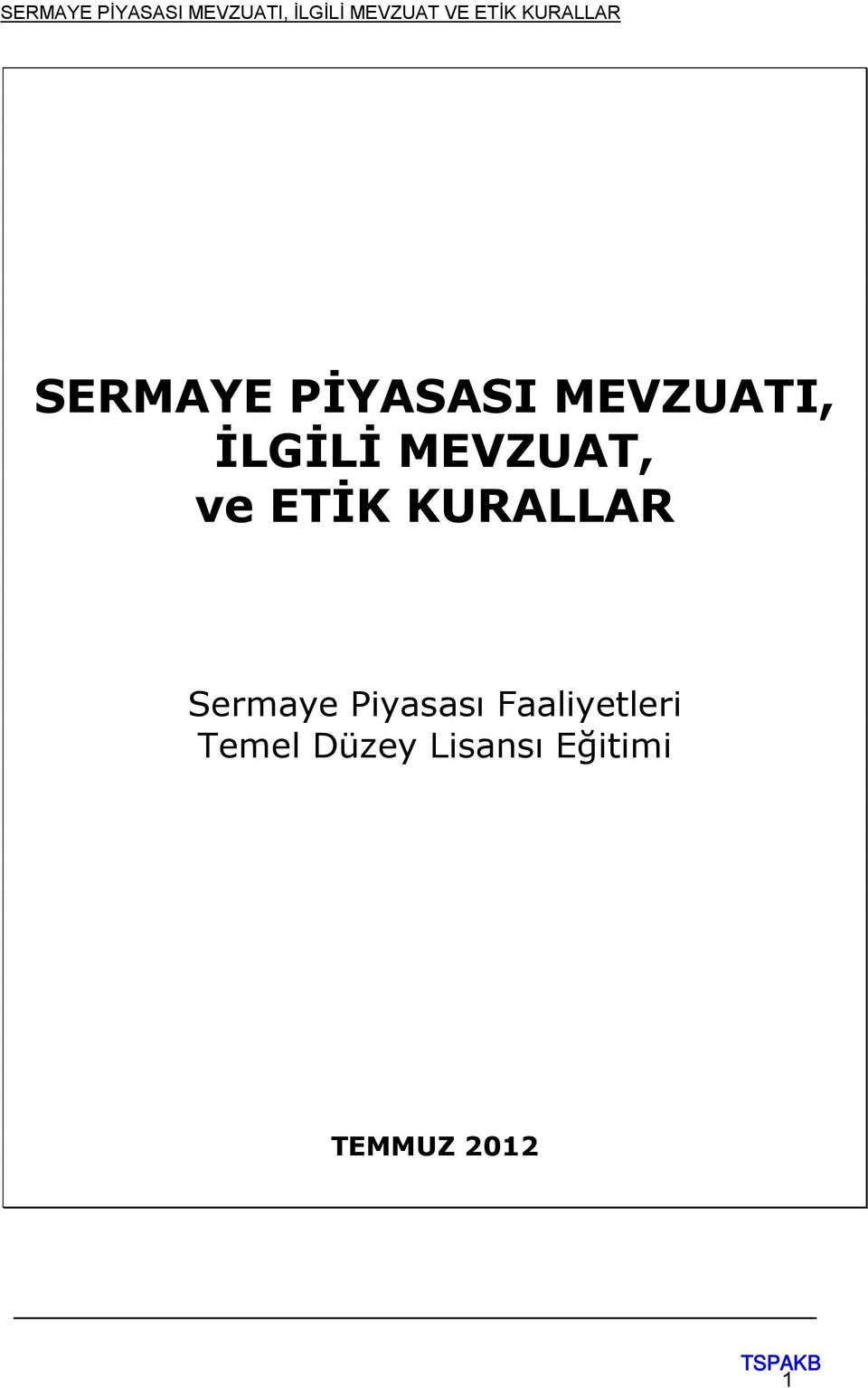 Sermaye Piyasası Faaliyetleri