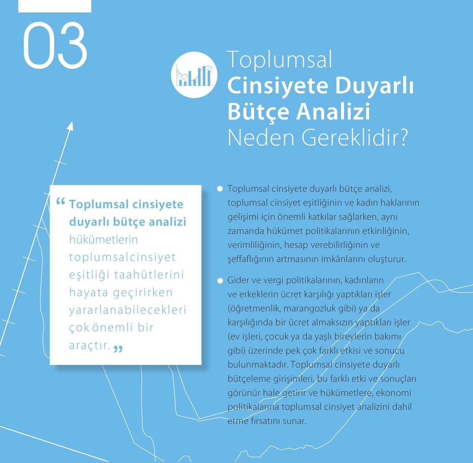 Toplumsal cinsiyete duyarlı bütçe analizi, toplumsal cinsiyet eşitliğinin ve kadın haklarının gelişimi için önemli katkılar sağlarken, aynı zamanda hükümet politikalarının etkinliğinin,