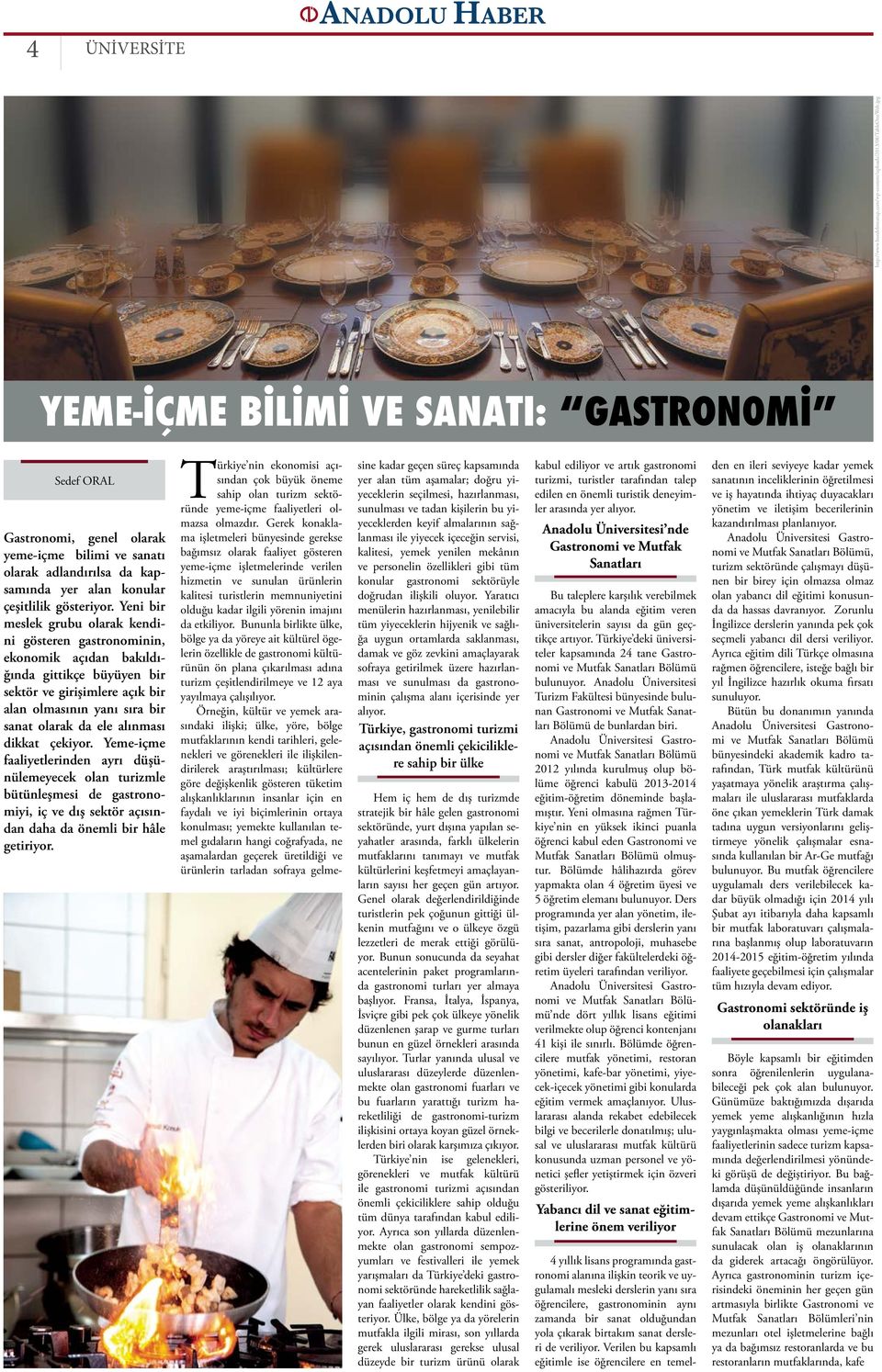 Yeni bir meslek grubu olarak kendini gösteren gastronominin, ekonomik açıdan bakıldığında gittikçe büyüyen bir sektör ve girişimlere açık bir alan olmasının yanı sıra bir sanat olarak da ele alınması