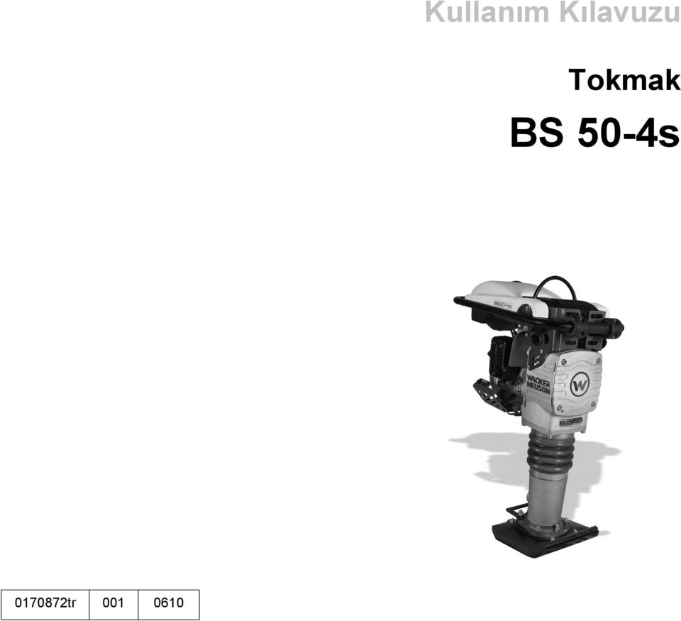 Tokmak BS