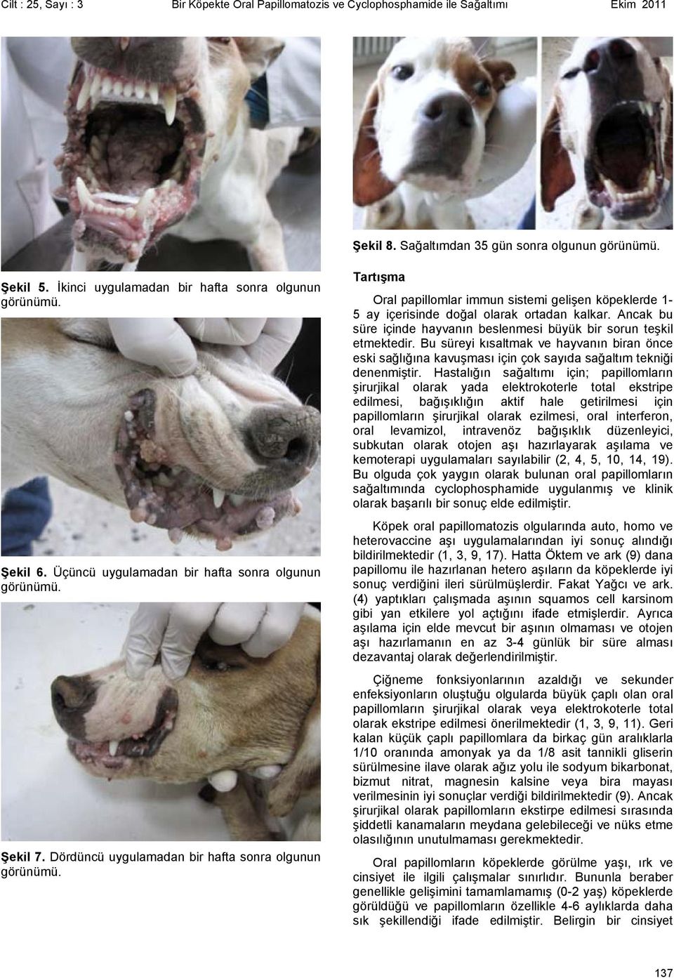 Dördüncü uygulamadan bir hafta sonra olgunun Tartışma Oral papillomlar immun sistemi gelişen köpeklerde 1-5 ay içerisinde doğal olarak ortadan kalkar.