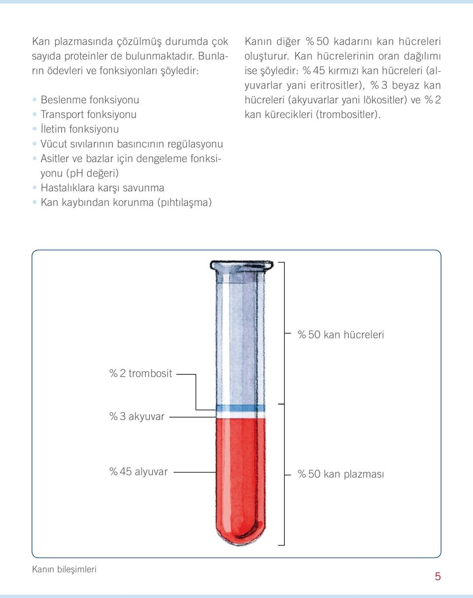 dengeleme fonksiyonu (ph değeri) Hastalıklara karşı savunma Kan kaybından korunma (pıhtılaşma) Kanın diğer % 50 kadarını kan hücreleri oluşturur.