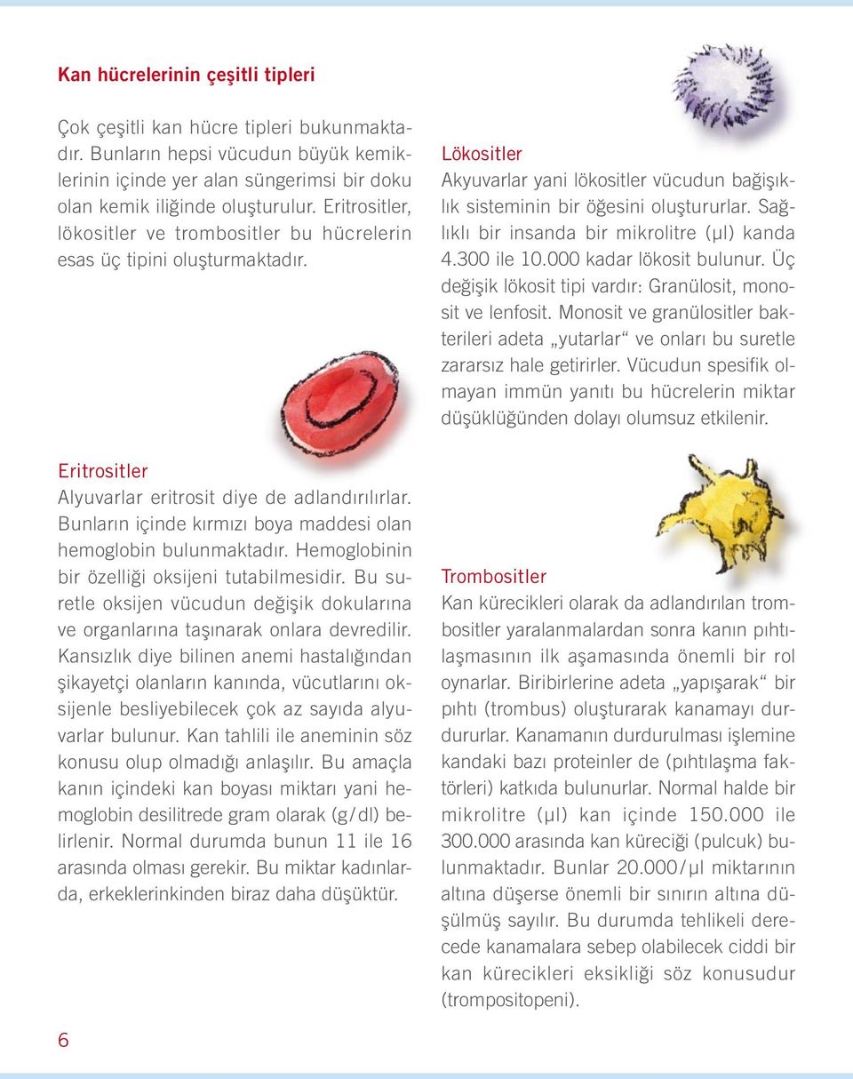 Bunların içinde kırmızı boya maddesi olan hemoglobin bulunmaktadır. Hemoglobinin bir özelliği oksijeni tutabilmesidir.