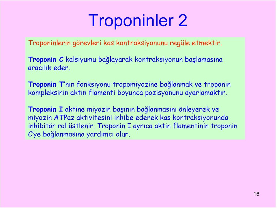 Troponin T nin fonksiyonu tropomiyozine bağlanmak ve troponin kompleksinin aktin flamenti boyunca pozisyonunu ayarlamaktır.