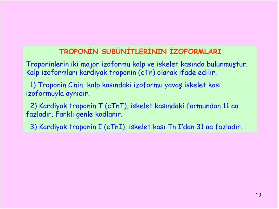 1) Troponin C nin kalp kasındaki izoformu yavaş iskelet kası izoformuyla aynıdır.