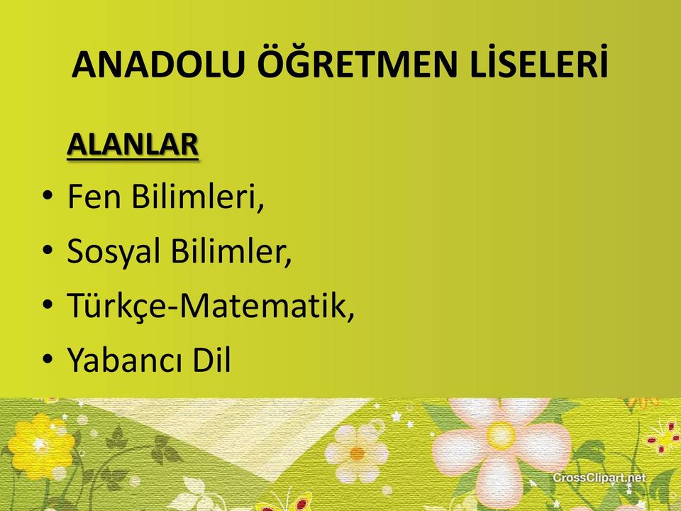 Bilimleri, Sosyal