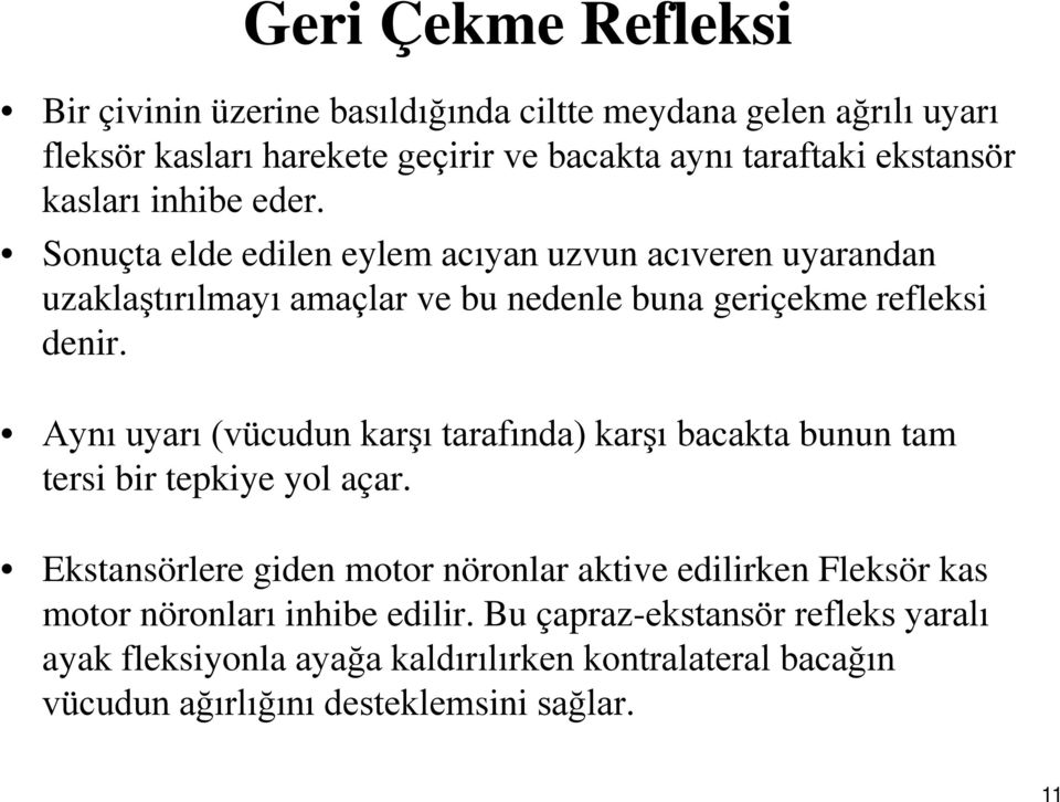 Aynı uyarı (vücudun karşı tarafında) karşı bacakta bunun tam tersi bir tepkiye yol açar.