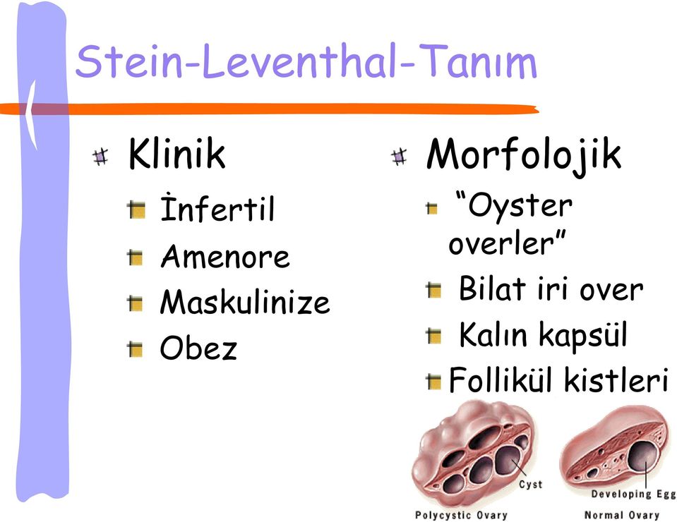 Morfolojik Oyster overler Bilat