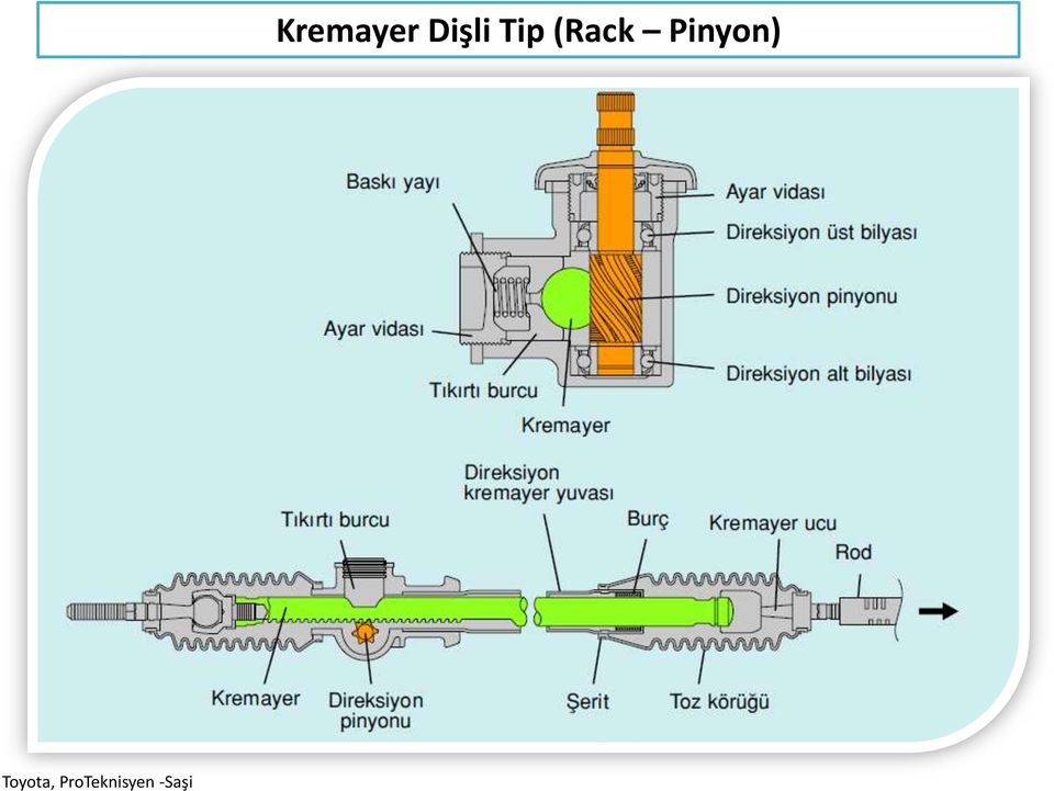 -Saşi Kremayer