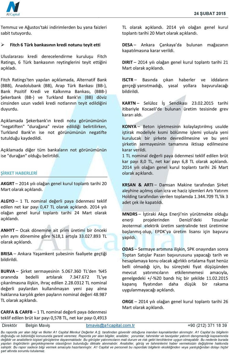 Fitch Ratings'ten yapılan açıklamada, Alternatif Bank (BBB), Anadolubank (BB), Arap Türk Bankası (BB-), Bank Pozitif Kredi ve Kalkınma Bankası, (BBB-) Şekerbank (BB-) ve Turkland Bank'ın (BB) döviz