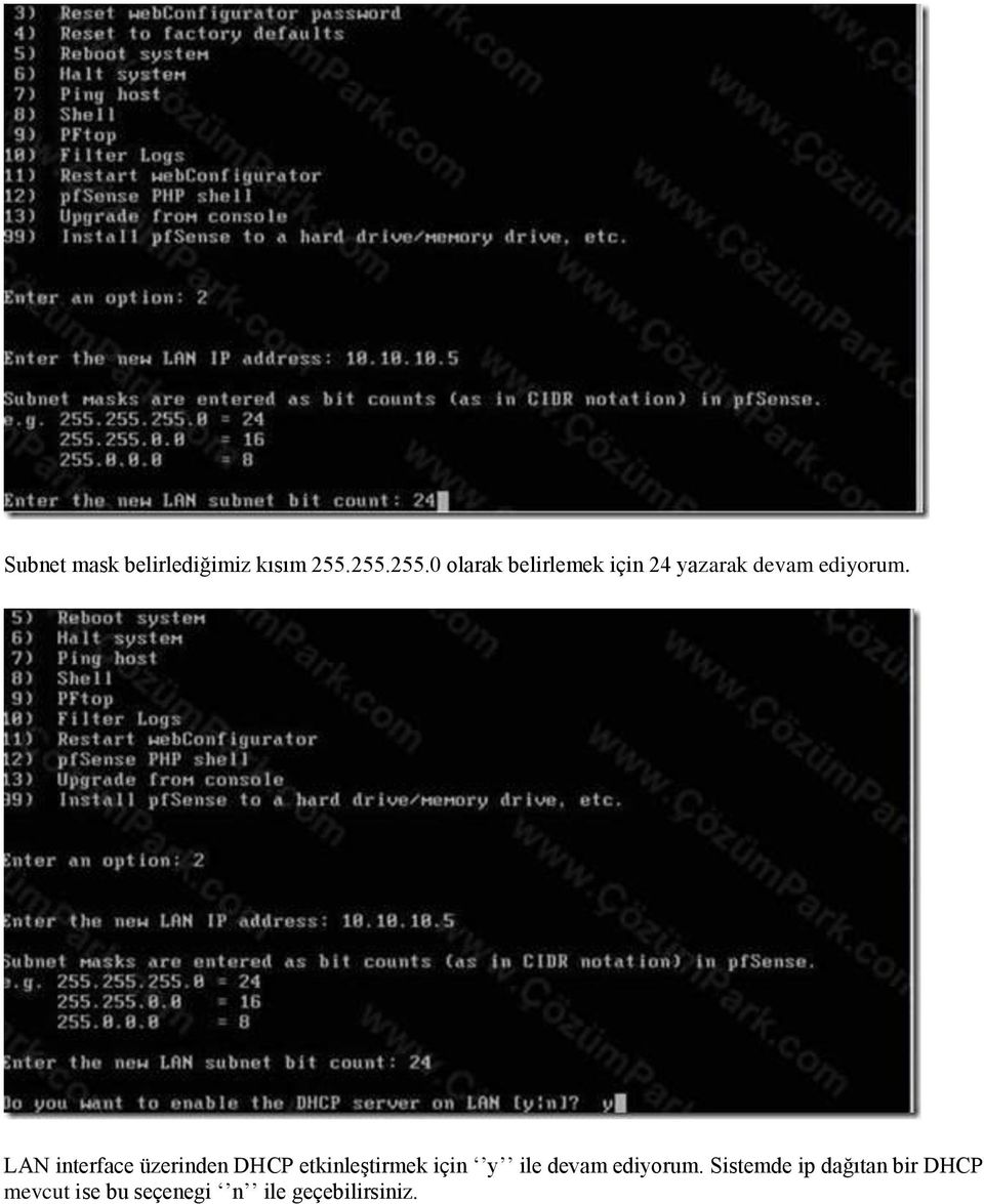 LAN interface üzerinden DHCP etkinleştirmek için y ile devam