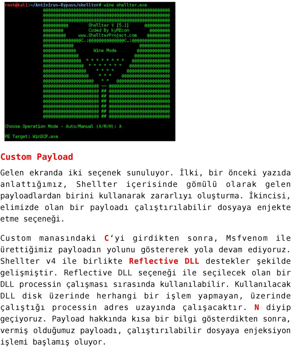 Shellter v4 ile birlikte Reflective DLL destekler şekilde gelişmiştir. Reflective DLL seçeneği ile seçilecek olan bir DLL processin çalışması sırasında kullanılabilir.