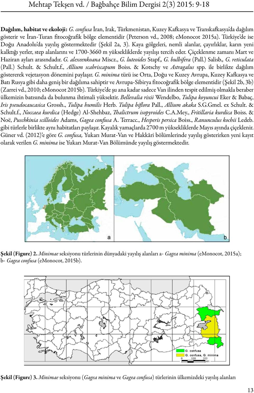 Kaya gölgeleri, nemli alanlar, çayırlıklar, karın yeni kalktığı yerler, step alanlarını ve 1700-3660 m yüksekliklerde yayılışı tercih eder. Çiçeklenme zamanı Mart ve Haziran ayları arasındadır. G.