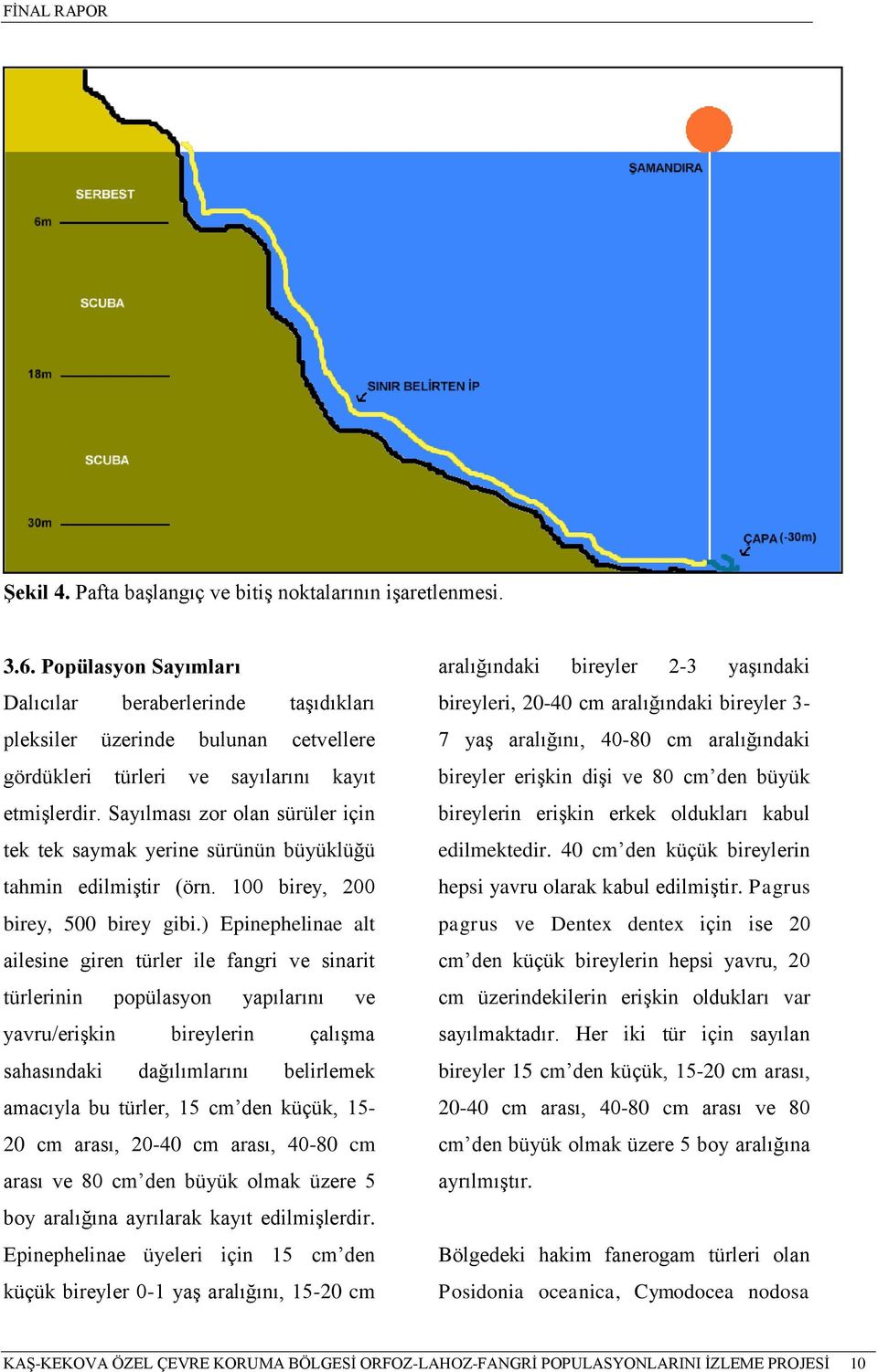 Sayılması zor olan sürüler için tek tek saymak yerine sürünün büyüklüğü tahmin edilmiştir (örn. 100 birey, 200 birey, 500 birey gibi.