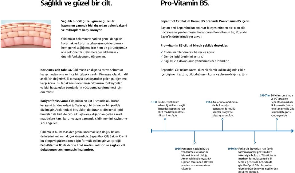 Gelin beraber cildimizin 2 önemli fonksiyonunu öğrenelim. Bepanthol Cilt Bakım Kremi, %5 oranında Pro-Vitamin B5 içerir.