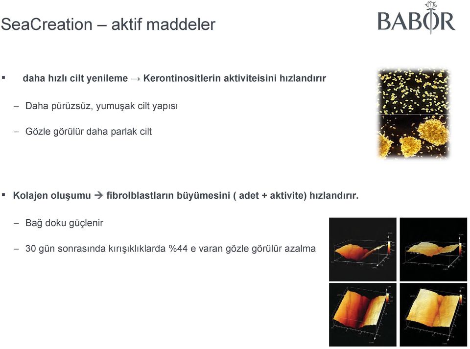 parlak cilt Kolajen oluşumu fibrolblastların büyümesini ( adet + aktivite)