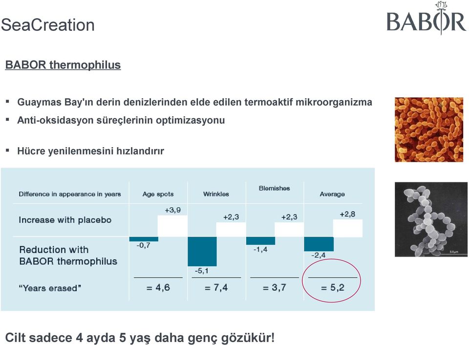 Anti-oksidasyon süreçlerinin optimizasyonu Hücre