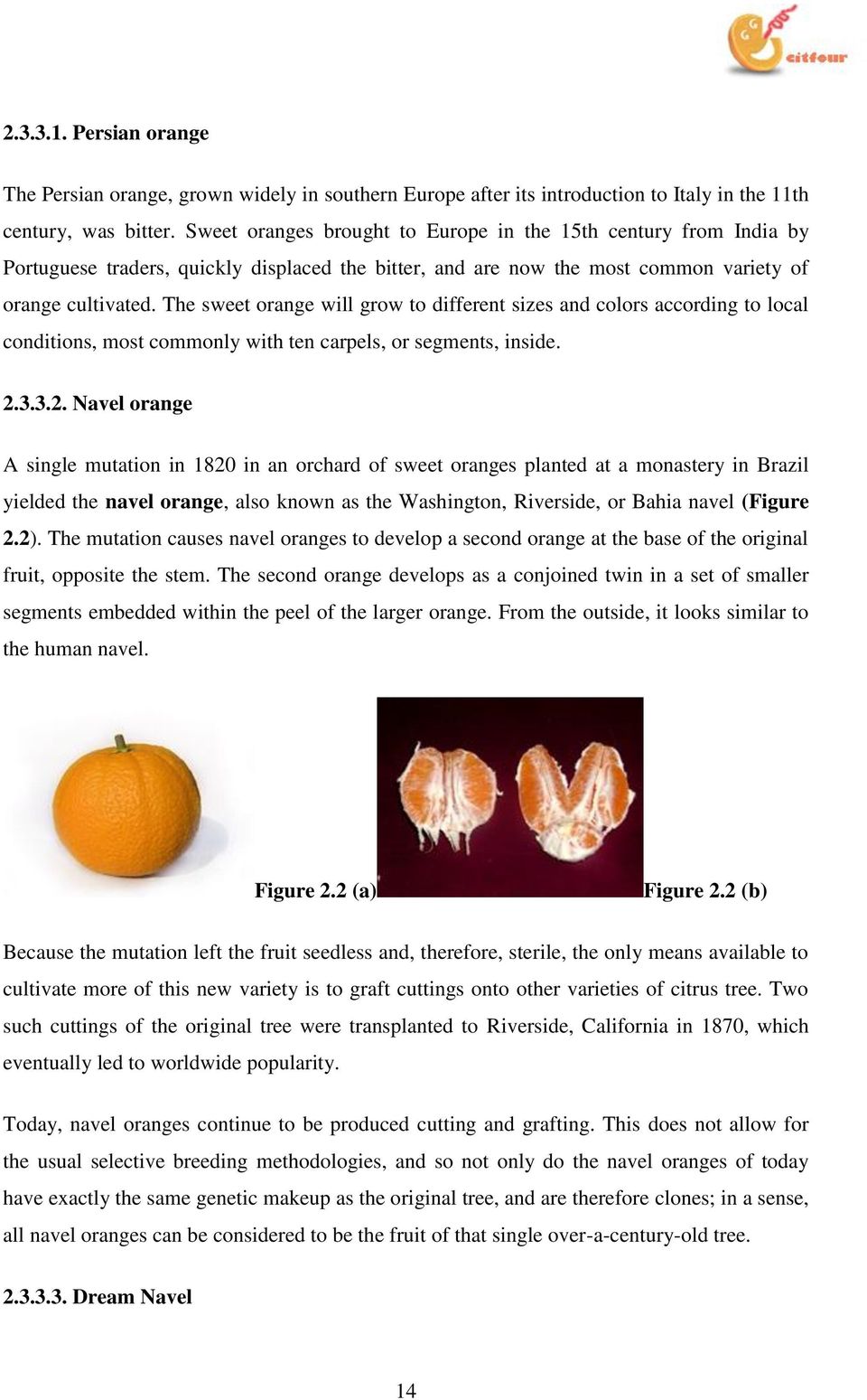 The sweet orange will grow to different sizes and colors according to local conditions, most commonly with ten carpels, or segments, inside. 2.