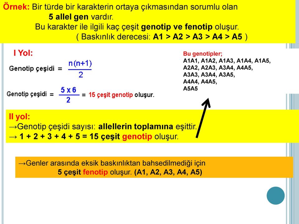 ( Baskınlık derecesi: A1 > A2 > A3 > A4 > A5 ) I Yol: Bu genotipler; A1A1, A1A2, A1A3, A1A4, A1A5, A2A2, A2A3, A3A4, A4A5,